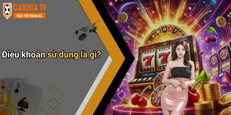 Điều khoản sử dụng là gì?