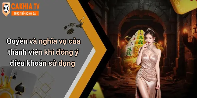 Quyền và nghĩa vụ của thành viên khi đồng ý điều khoản sử dụng
