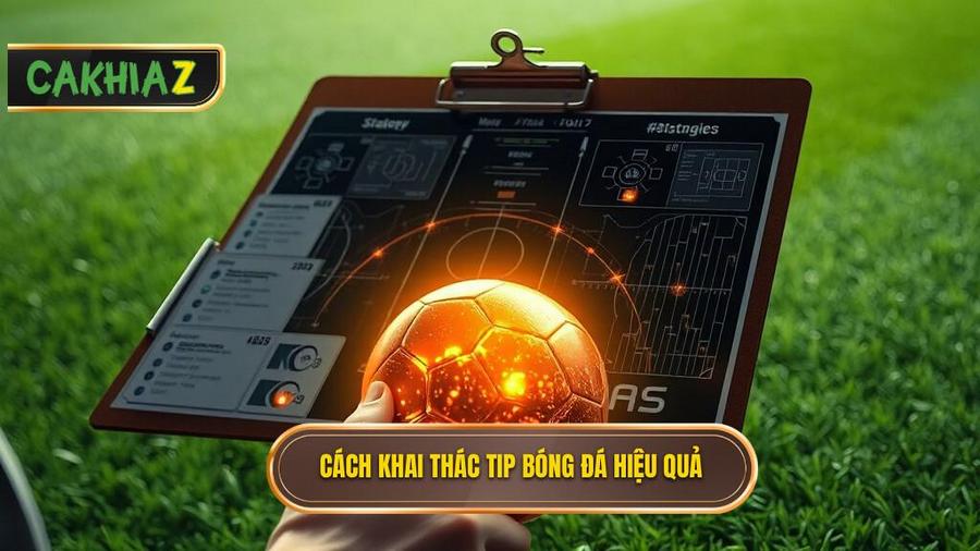 Cách khai thác Tip bóng đá miễn phí để đạt tỷ lệ thắng cao nhất